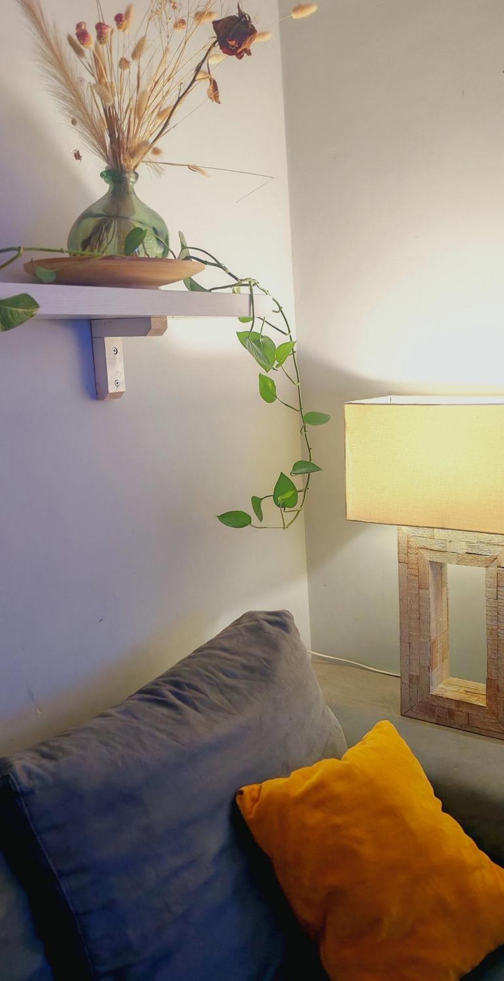 Casa Gesi Daire Roma Dış mekan fotoğraf